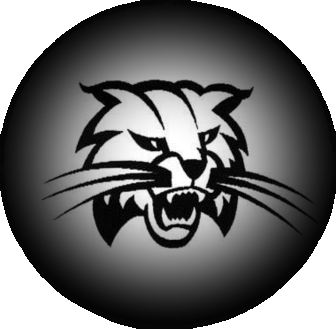 Athens Area School District Logo