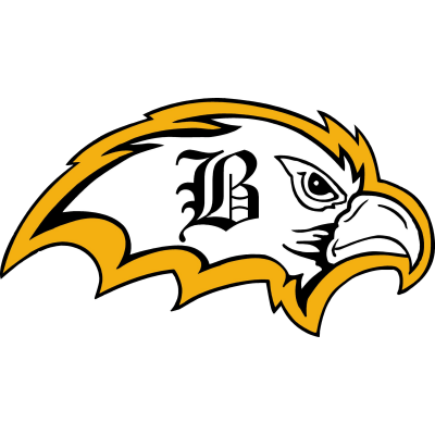 Brownsville Area School District Logo